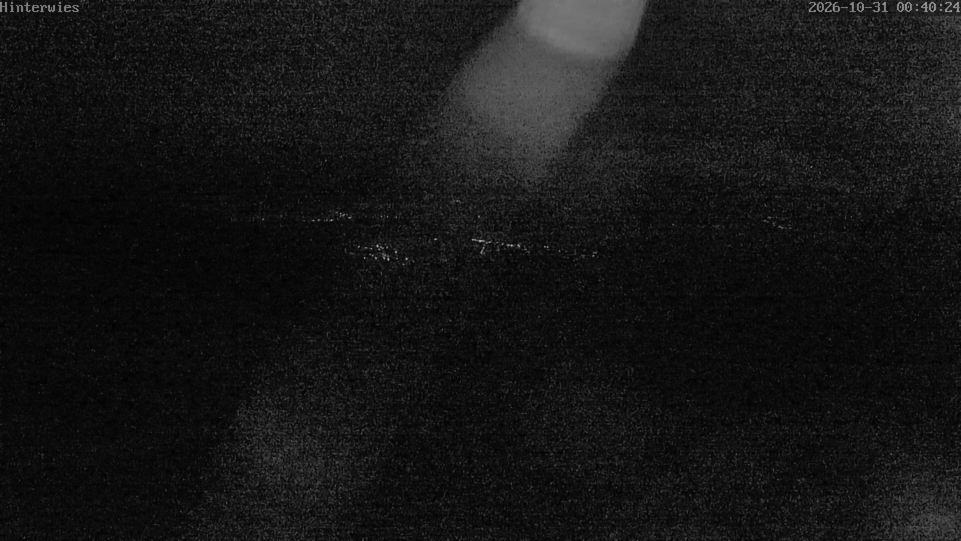 Archiv Foto Webcam Wetterstation Sankt Englmar-Hinterwies