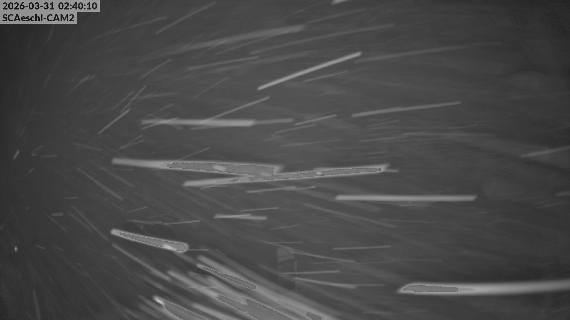 Archiv Foto Webcam Aeschi: Hütte Aeschiallmend