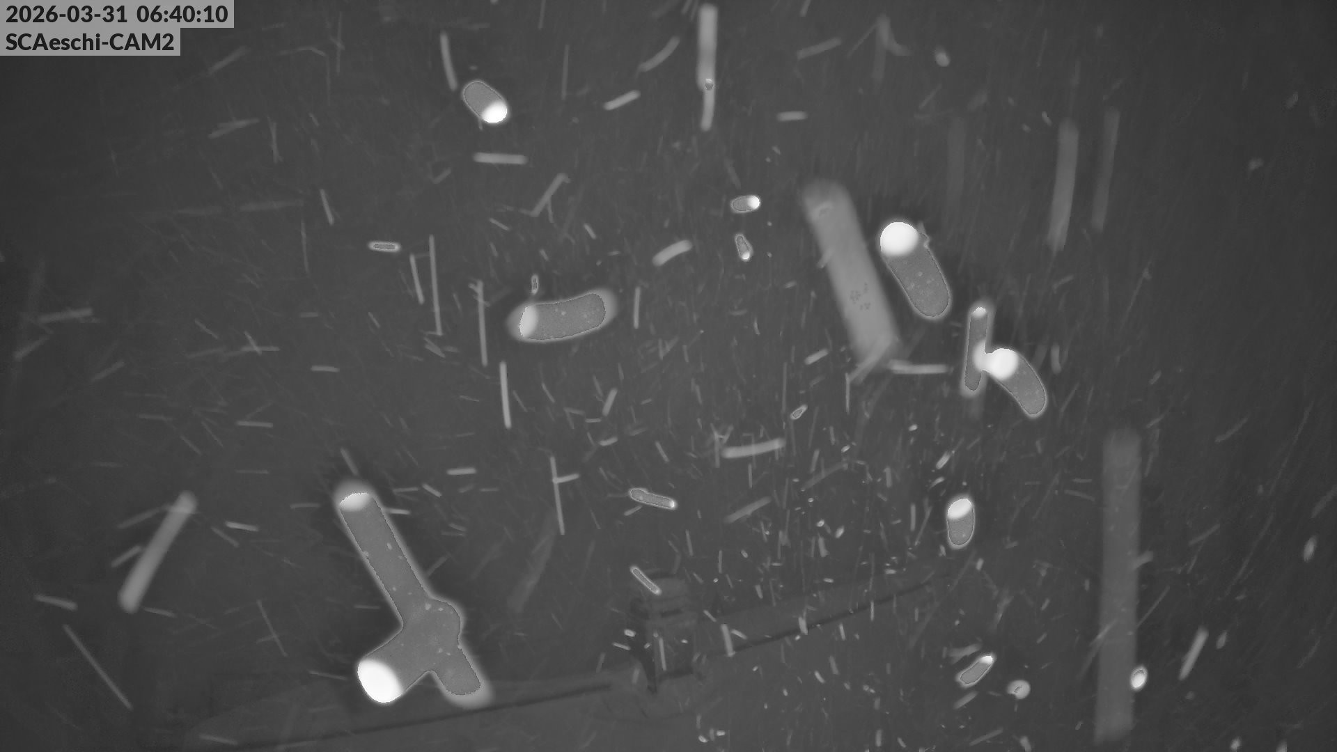 Archiv Foto Webcam Aeschi: Hütte Aeschiallmend