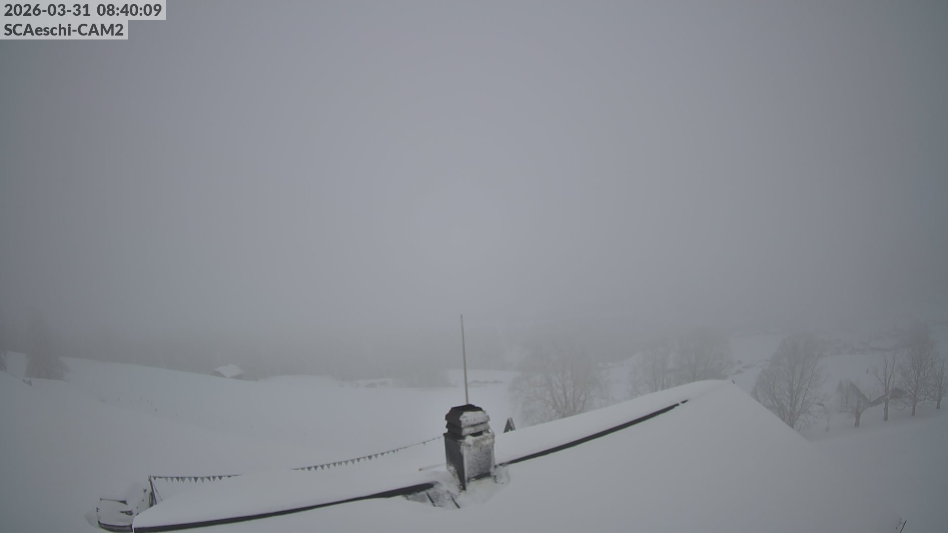 Archiv Foto Webcam Aeschi: Hütte Aeschiallmend