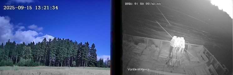 Archiv Foto Webcam Niedersfeld: Ausblick von der Hochheidehütte