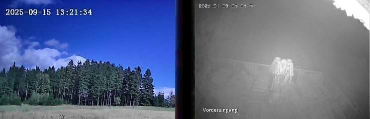 Archiv Foto Webcam Niedersfeld: Ausblick von der Hochheidehütte