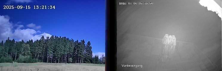 Archiv Foto Webcam Niedersfeld: Ausblick von der Hochheidehütte