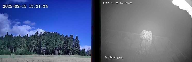 Archiv Foto Webcam Niedersfeld: Ausblick von der Hochheidehütte