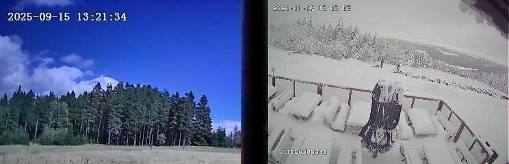 Archiv Foto Webcam Niedersfeld: Ausblick von der Hochheidehütte