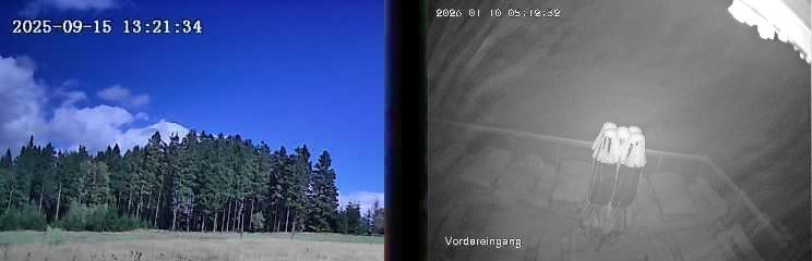 Archiv Foto Webcam Niedersfeld: Ausblick von der Hochheidehütte