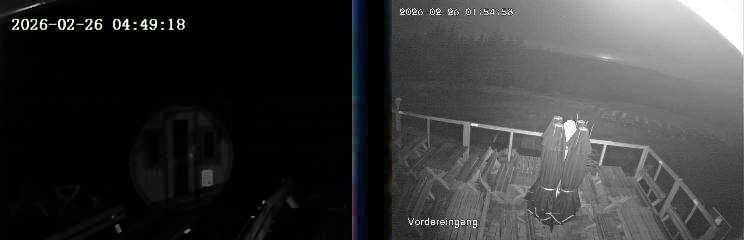 Archived image Webcam Niedersfeld - Mountain Hut Hochheide