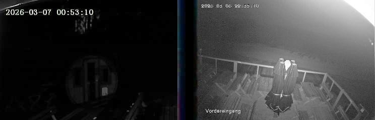 Archiv Foto Webcam Niedersfeld: Ausblick von der Hochheidehütte