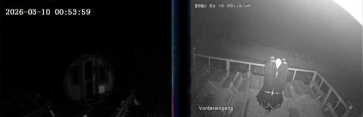 Archived image Webcam Niedersfeld - Mountain Hut Hochheide
