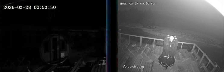 Archiv Foto Webcam Niedersfeld: Ausblick von der Hochheidehütte