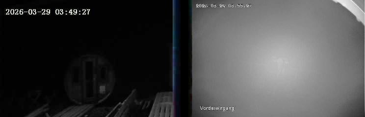 Archiv Foto Webcam Niedersfeld: Ausblick von der Hochheidehütte