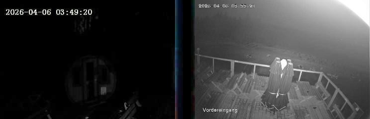 Archiv Foto Webcam Niedersfeld: Ausblick von der Hochheidehütte