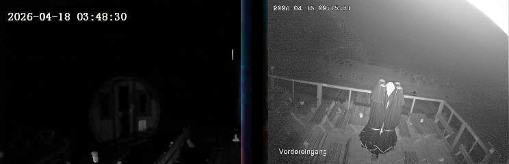 Archiv Foto Webcam Niedersfeld: Ausblick von der Hochheidehütte