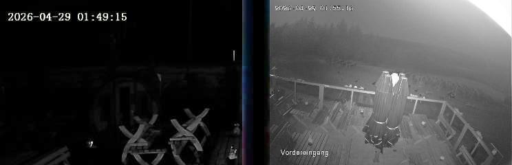 Archiv Foto Webcam Niedersfeld: Ausblick von der Hochheidehütte