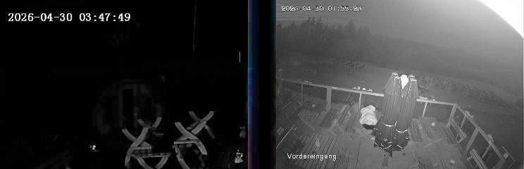 Archiv Foto Webcam Niedersfeld: Ausblick von der Hochheidehütte