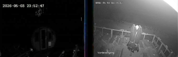Archiv Foto Webcam Niedersfeld: Ausblick von der Hochheidehütte