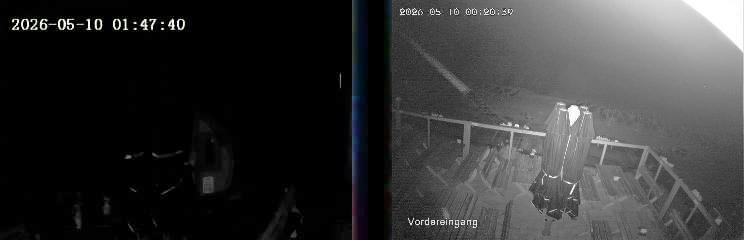 Archiv Foto Webcam Niedersfeld: Ausblick von der Hochheidehütte