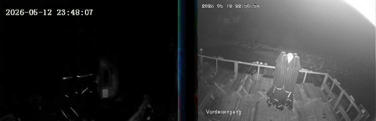 Archiv Foto Webcam Niedersfeld: Ausblick von der Hochheidehütte