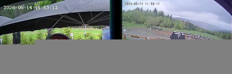 Archiv Foto Webcam Niedersfeld: Ausblick von der Hochheidehütte