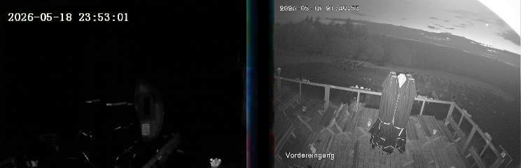 Archiv Foto Webcam Niedersfeld: Ausblick von der Hochheidehütte