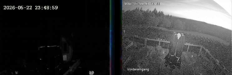 Archiv Foto Webcam Niedersfeld: Ausblick von der Hochheidehütte