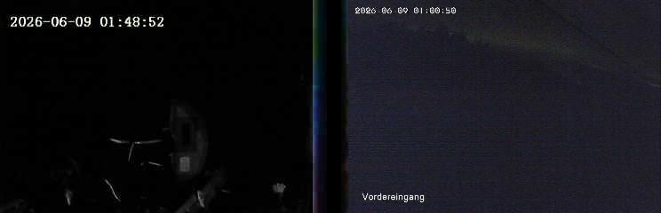 Archiv Foto Webcam Niedersfeld: Ausblick von der Hochheidehütte
