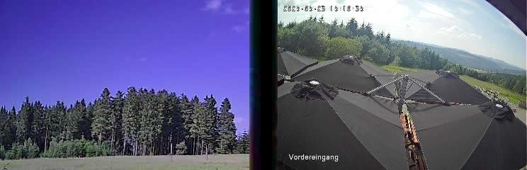 Archiv Foto Webcam Niedersfeld: Ausblick von der Hochheidehütte
