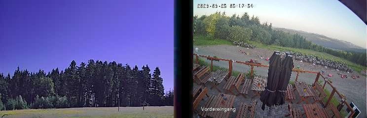 Archiv Foto Webcam Niedersfeld: Ausblick von der Hochheidehütte