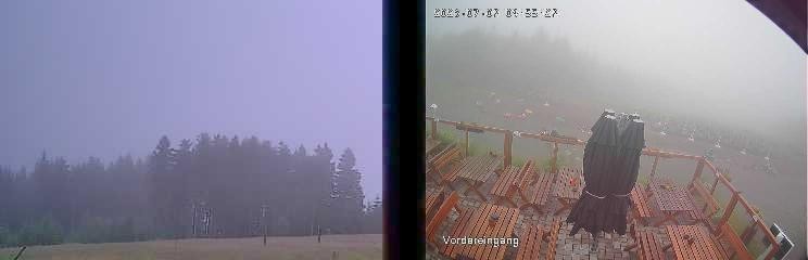 Archiv Foto Webcam Niedersfeld: Ausblick von der Hochheidehütte