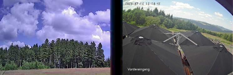 Archiv Foto Webcam Niedersfeld: Ausblick von der Hochheidehütte