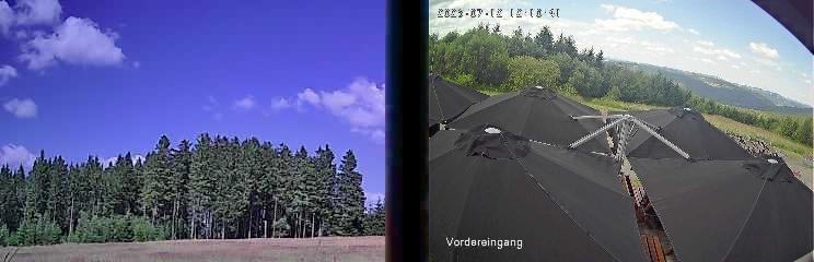 Archiv Foto Webcam Niedersfeld: Ausblick von der Hochheidehütte