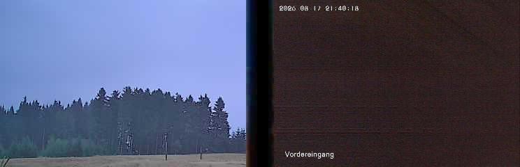 Archiv Foto Webcam Niedersfeld: Ausblick von der Hochheidehütte