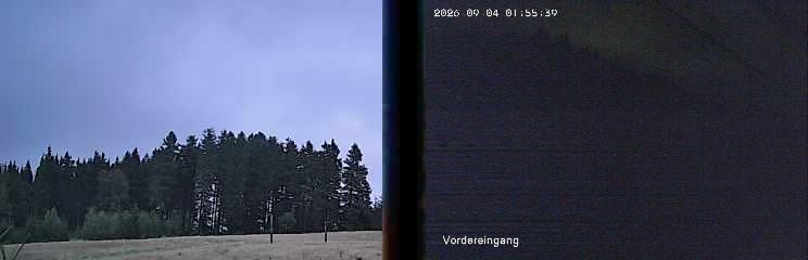 Archiv Foto Webcam Niedersfeld: Ausblick von der Hochheidehütte