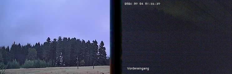 Archiv Foto Webcam Niedersfeld: Ausblick von der Hochheidehütte