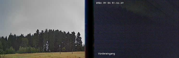 Archiv Foto Webcam Niedersfeld: Ausblick von der Hochheidehütte