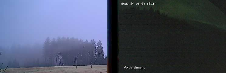 Archiv Foto Webcam Niedersfeld: Ausblick von der Hochheidehütte