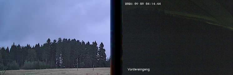 Archiv Foto Webcam Niedersfeld: Ausblick von der Hochheidehütte