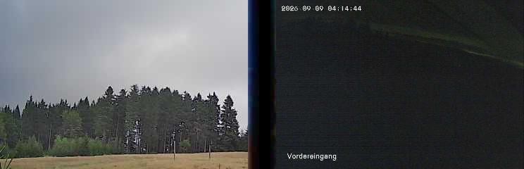 Archiv Foto Webcam Niedersfeld: Ausblick von der Hochheidehütte