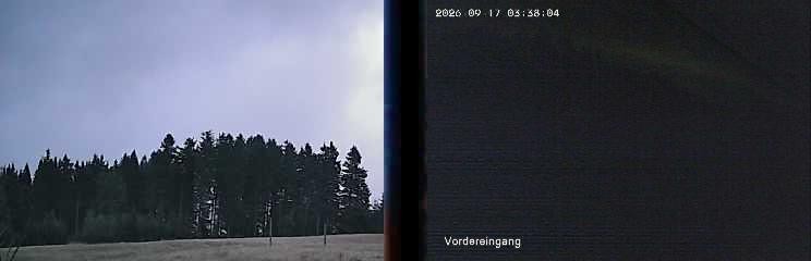 Archiv Foto Webcam Niedersfeld: Ausblick von der Hochheidehütte