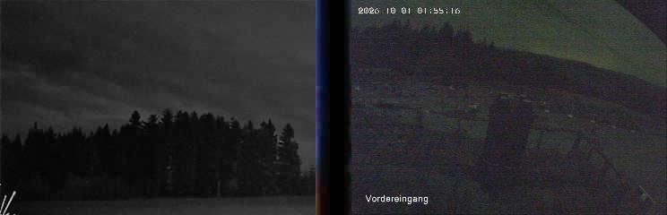 Archiv Foto Webcam Niedersfeld: Ausblick von der Hochheidehütte
