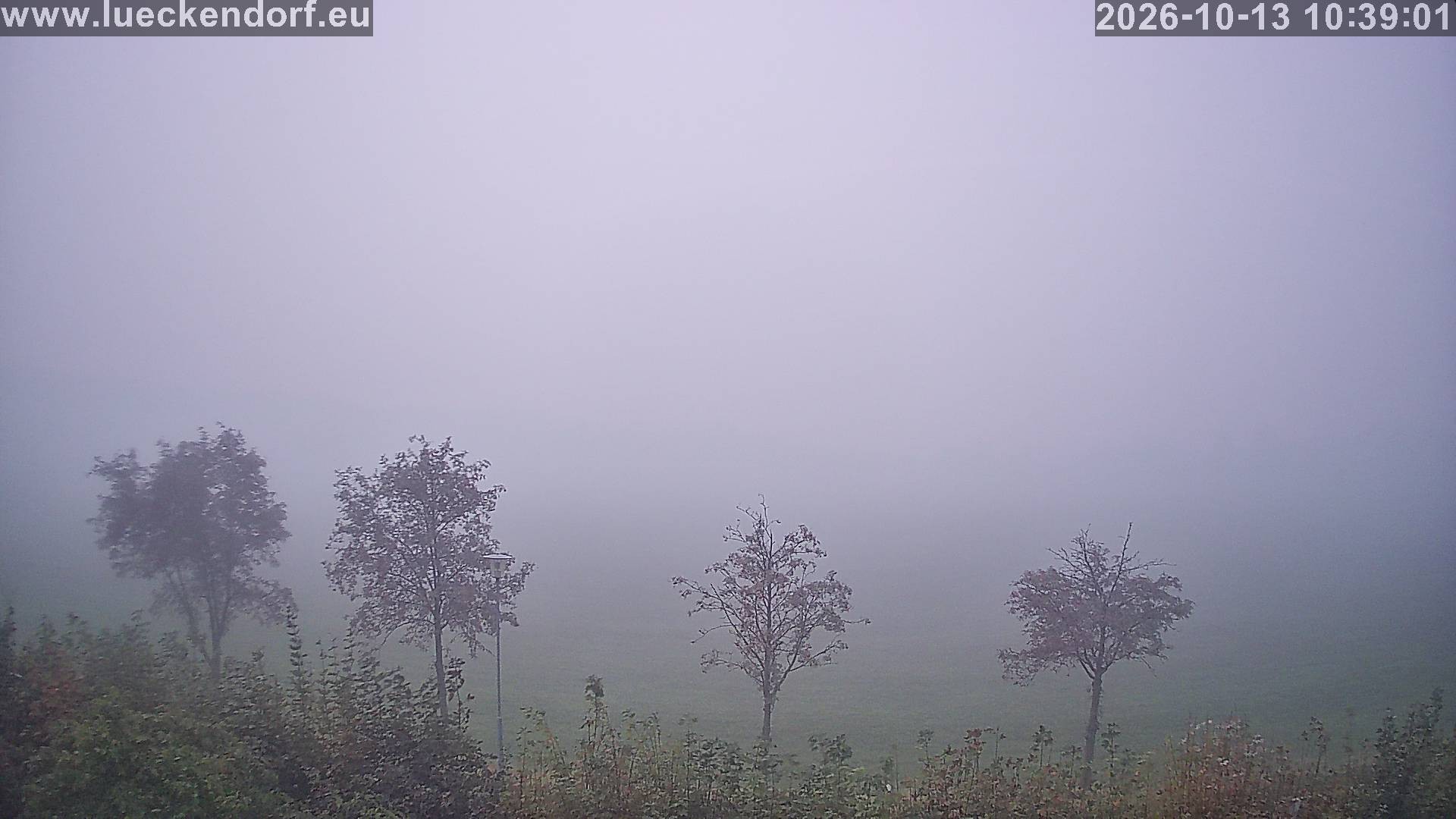 Archiv Foto Webcam Luftkurort Lückendorf - Oberdorf