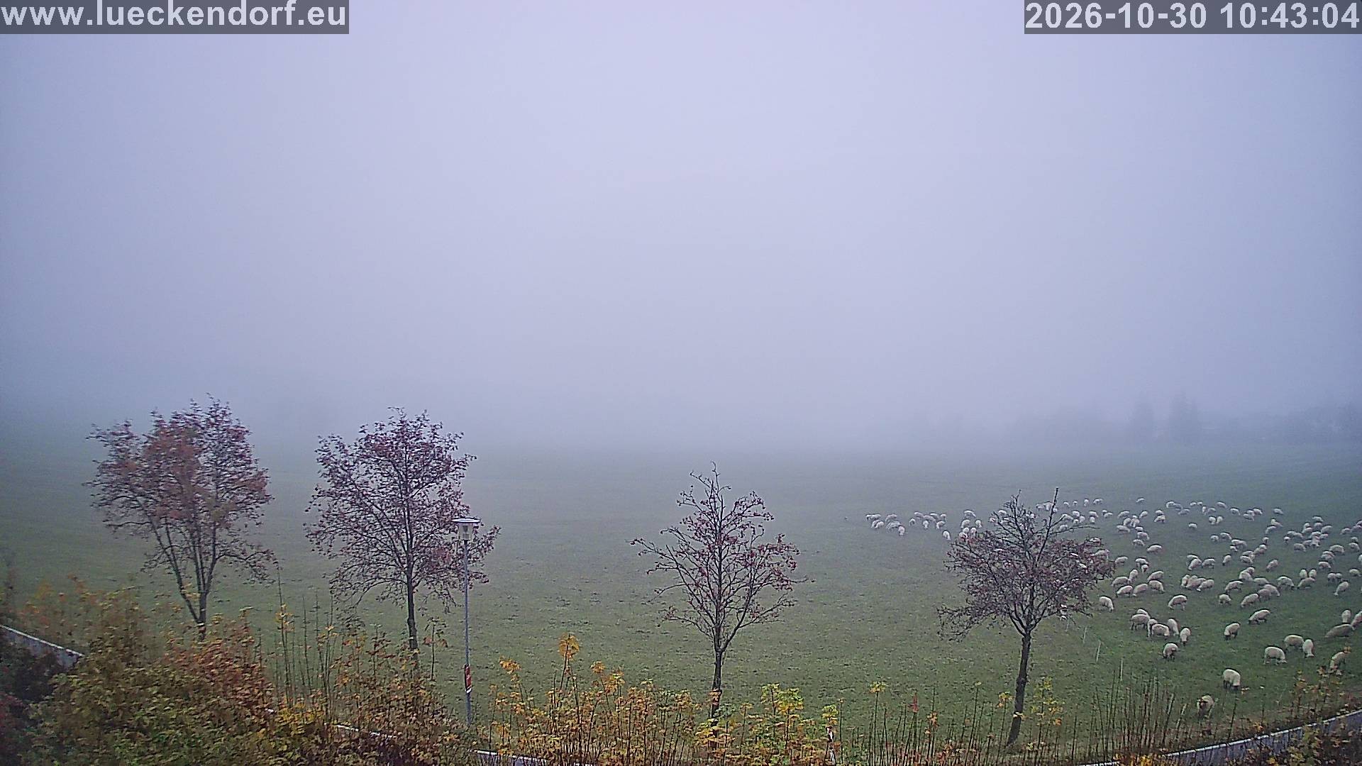 Archived image Webcam Lückendorf