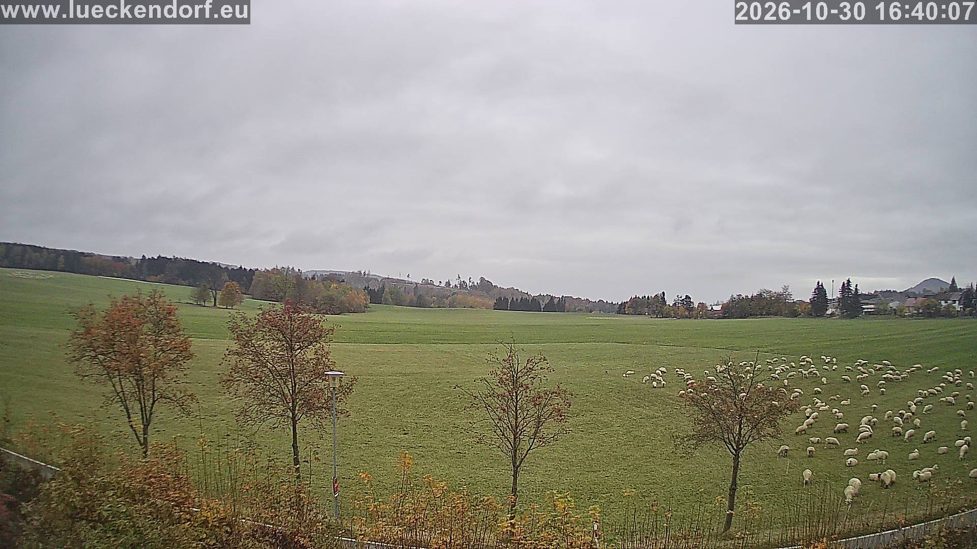 Archived image Webcam Lückendorf