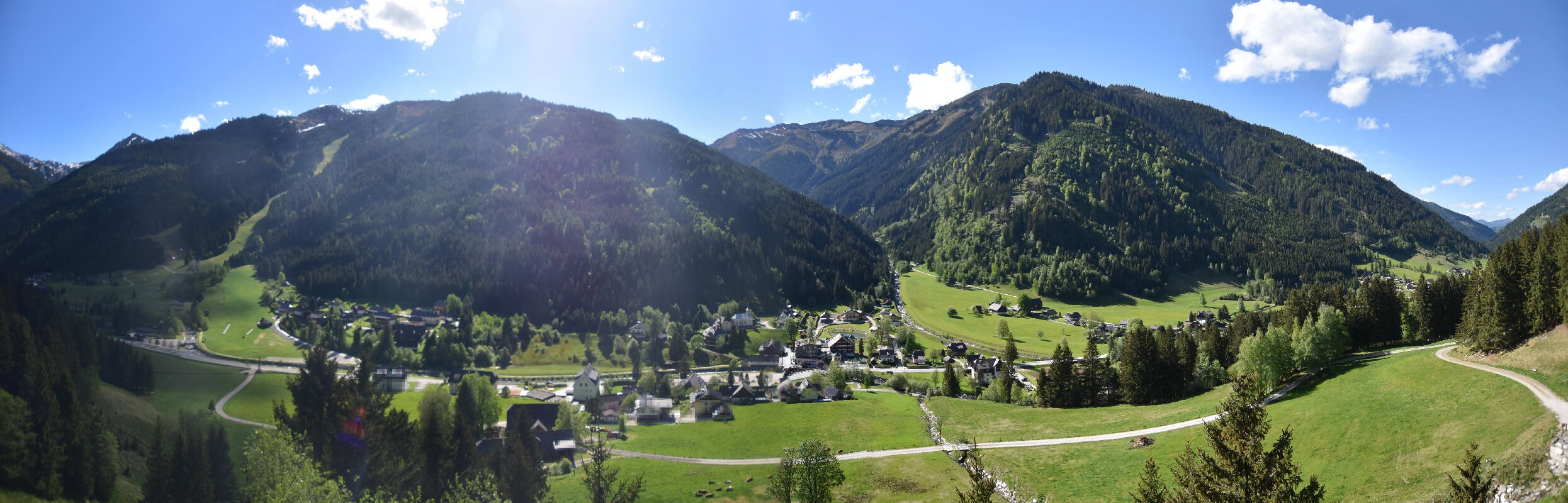 Archiv Foto Webcam Donnersbachwald - Blick zur Riesneralm
