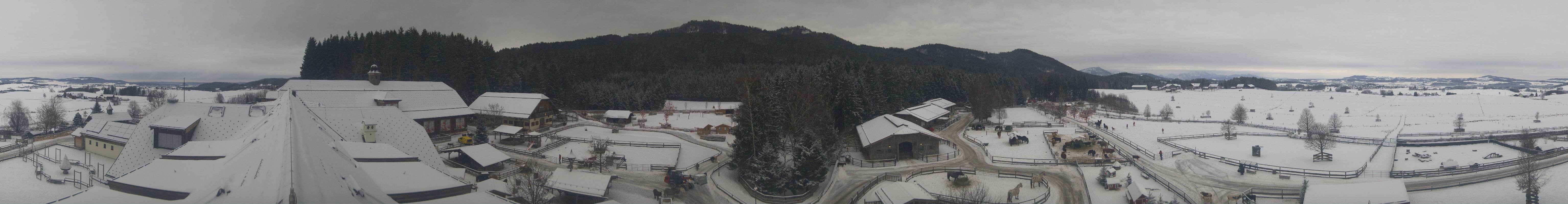 Archiv Foto Webcam Henndorf am Wallersee - Gut Aiderbichl