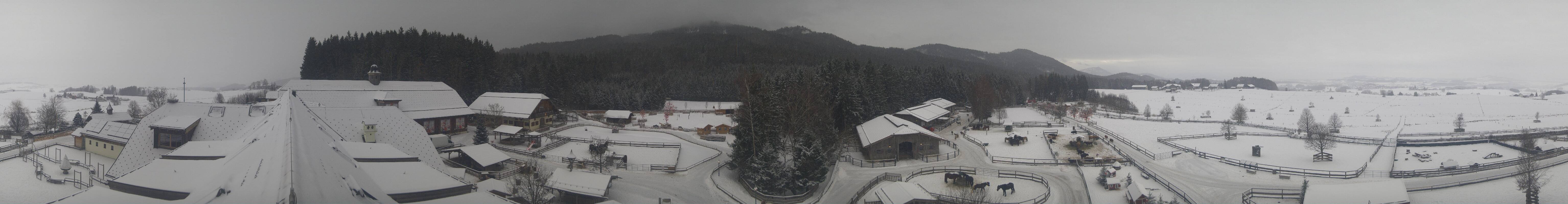 Archiv Foto Webcam Henndorf am Wallersee - Gut Aiderbichl