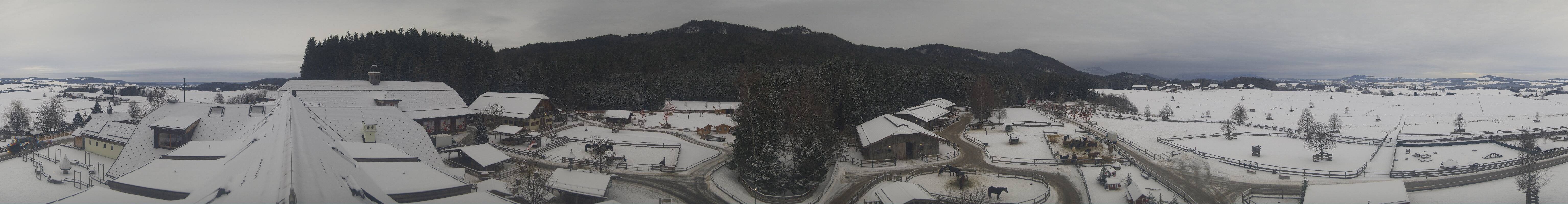 Archiv Foto Webcam Henndorf am Wallersee - Gut Aiderbichl