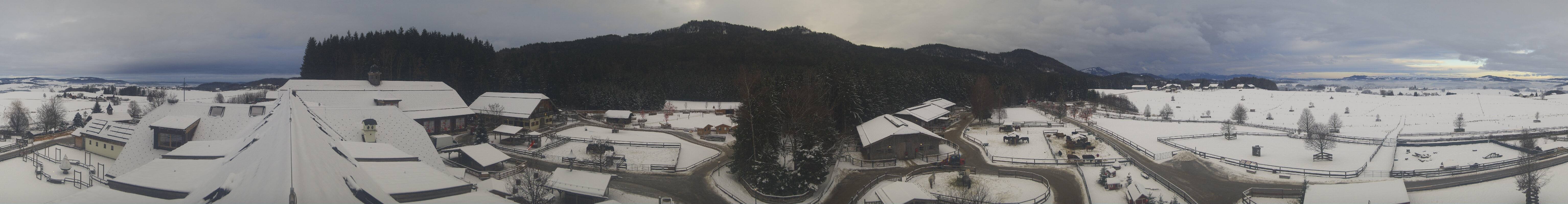 Archiv Foto Webcam Henndorf am Wallersee - Gut Aiderbichl
