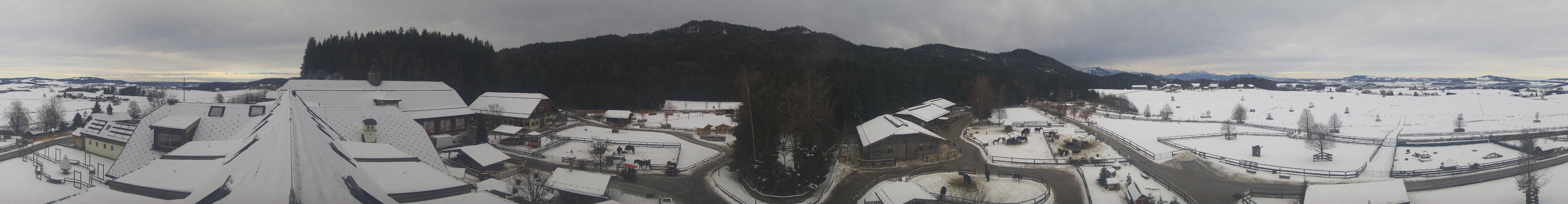 Archiv Foto Webcam Henndorf am Wallersee - Gut Aiderbichl