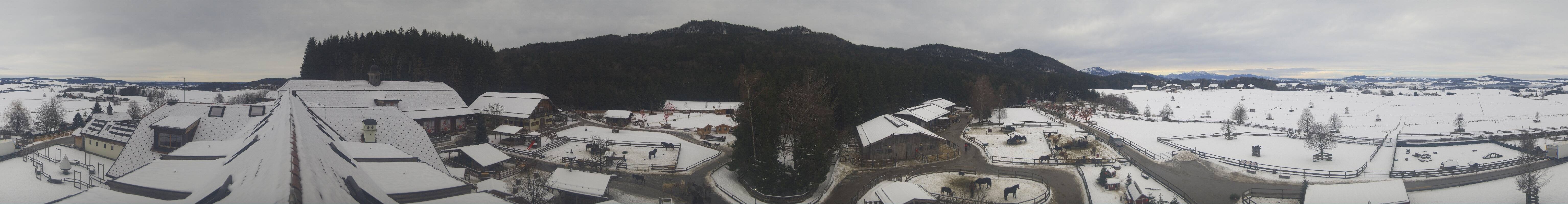 Archiv Foto Webcam Henndorf am Wallersee - Gut Aiderbichl